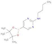 2-Butylaminopyrimidine-5-boronic acid, pinacol ester