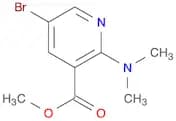 Methyl 5-bromo-2-(dimethylamino)nicotinate
