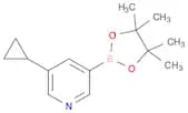 5-Cyclopropylpyridin-3-ylboronic acid pinacol ester