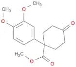 Methyl 1-(3,4-dimethoxyphenyl)-4-oxocyclohexanecarboxylate