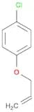 1-Chloro-4-(2-propen-1-yloxy)benzene