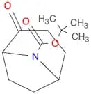 8-Azabicyclo[3.2.1]octane-8-carboxylic acid, 2-oxo-, 1,1-dimethylethyl ester