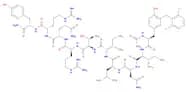 L-Tyrosinamide, N-acetyl-3-[(2,6-dichlorophenyl)methyl]-L-tyrosyl-L-isoleucyl-L-asparaginyl-L-leuc…