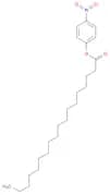 Octadecanoic acid, 4-nitrophenyl ester