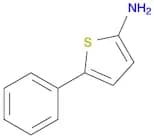 2-Thiophenamine, 5-phenyl-