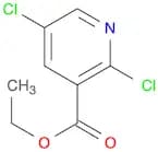 3-PYRIDINECARBOXYLIC ACID, 2,5-DICHLORO-, ETHYL ESTER