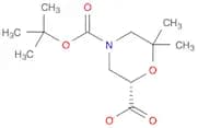 2,4-Morpholinedicarboxylic acid, 6,6-dimethyl-, 4-(1,1-dimethylethyl) ester, (2S)-