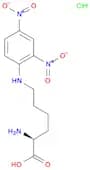 (2S)-2-amino-6-[(2,4-dinitrophenyl)amino]hexanoic acid hydrochloride