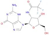 2'-TFA-NH-dG