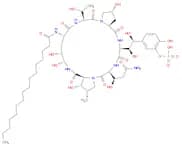 Pneumocandin A0, 1-[(4R,5R)-4,5-dihydroxy-N2-(1-oxohexadecyl)-L-ornithine]-4-[(4S)-4-hydroxy-4-[4-…