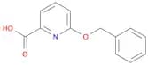 2-Pyridinecarboxylic acid, 6-(phenylmethoxy)-