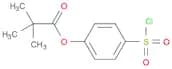 Propanoic acid, 2,2-dimethyl-, 4-(chlorosulfonyl)phenyl ester