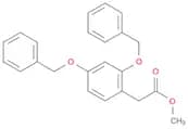 Benzeneacetic acid, 2,4-bis(phenylmethoxy)-, methyl ester