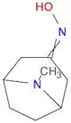 8-Azabicyclo[3.2.1]octan-3-one, 8-methyl-, oxime