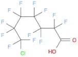 Heptanoic acid, 7-chloro-2,2,3,3,4,4,5,5,6,6,7,7-dodecafluoro-