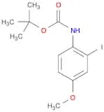 TERT-BUTYL 2-IODO-4-METHOXYPHENYLCARBAMATE