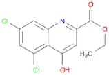 5,7-Dichloro-4-hydroxy-quinoline-2-carboxylic acid ethyl ester
