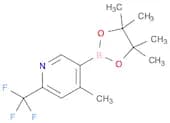 4-Methyl-6-trifluoromethylpyridine-3-boronic acid pinacol ester