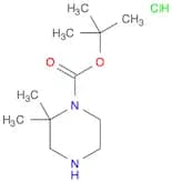 tert-Butyl 2,2-dimethylpiperazine-1-carboxylate hydrochloride