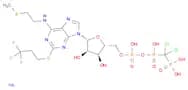 5'-Adenylic acid, N-[2-(methylthio)ethyl]-2-[(3,3,3-trifluoropropyl)thio]-, anhydride with P,P'-(d…