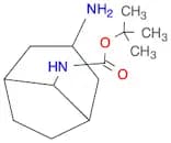 tert-Butyl (3-aminobicyclo[3.2.1]octan-8-yl)carbamate