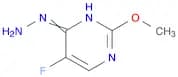PYRIMIDINE, 5-FLUORO-4-HYDRAZINYL-2-METHOXY-