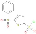 5-(Phenylsulfonyl)thiophene-2-sulfonyl chloride