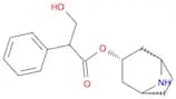 Noratropine