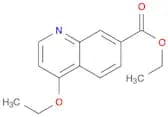 7-​Quinolinecarboxylic acid, 4-​ethoxy-​, ethyl ester