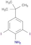Benzenamine, 4-(1,1-dimethylethyl)-2,6-diiodo-