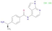 Benzamide, 4-[(1R)-1-aminoethyl]-N-1H-pyrrolo[2,3-b]pyridin-4-yl-, dihydrochloride (9CI)