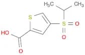 2-Thiophenecarboxylic acid, 4-[(1-methylethyl)sulfonyl]-