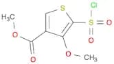 Methyl 5-chlorosulfonyl-4-methoxythiophene-3-carboxylate