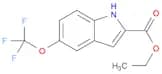 1H-Indole-2-carboxylic acid, 5-(trifluoromethoxy)-, ethyl ester