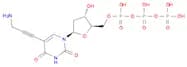 5-PA-dUTP
