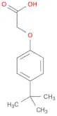 Acetic acid, 2-[4-(1,1-dimethylethyl)phenoxy]-