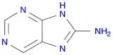 7H-purin-8-amine