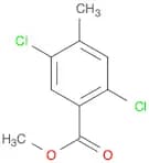 Benzoic acid, 2,5-dichloro-4-methyl-, methyl ester