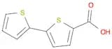 [2,2'-Bithiophene]-5-carboxylic acid