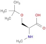 L-Serine, O-(1,1-dimethylethyl)-N-methyl-