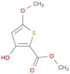 methyl 3-hydroxy-5-methoxy-2-thiophene carboxylate