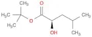 Pentanoic acid, 2-hydroxy-4-methyl-, 1,1-dimethylethyl ester, (2R)-