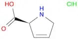 3,4-Dehydro-L-proline, HCl