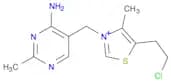 Thiazolium, 3-[(4-amino-2-methyl-5-pyrimidinyl)methyl]-5-(2-chloroethyl)-4-methyl-
