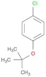 Benzene, 1-chloro-4-(1,1-dimethylethoxy)-