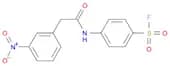 Benzenesulfonyl fluoride, 4-[[2-(3-nitrophenyl)acetyl]amino]-