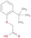 Acetic acid, 2-[2-(1,1-dimethylethyl)phenoxy]-