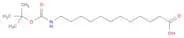 Dodecanoic acid, 12-[[(1,1-dimethylethoxy)carbonyl]amino]-