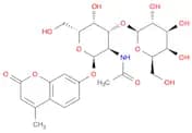 4-Methylumbelliferyl 2-Acetamido-2-deoxy-3-O-(b-D-galactopyranosyl)-a-D-galactopyranoside