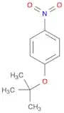 1-(tert-Butoxy)-4-nitrobenzene